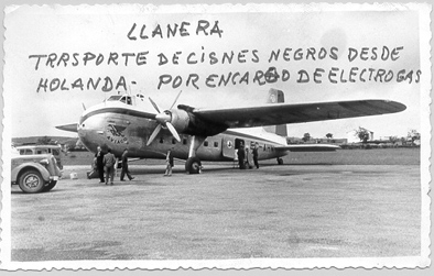 El Avión en donde vinieron