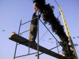 115-1532_IMG.JPG