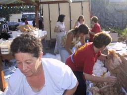 IMG_3543.JPG