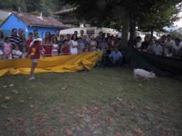IMG_3729.JPG