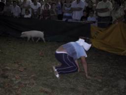 IMG_3732.JPG
