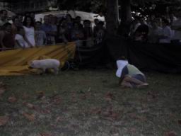 IMG_3743.JPG