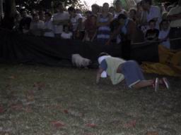 IMG_3744.JPG