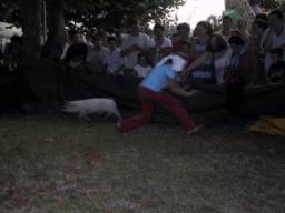 IMG_3746.JPG
