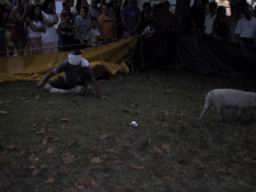 IMG_3772.JPG
