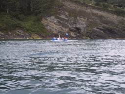 IMG_4095.JPG