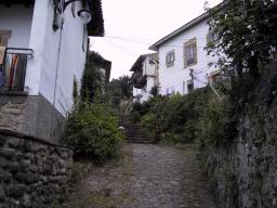 IMG_3988.JPG